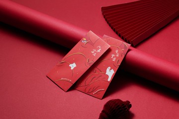 NEW 新年紅包袋-插畫款