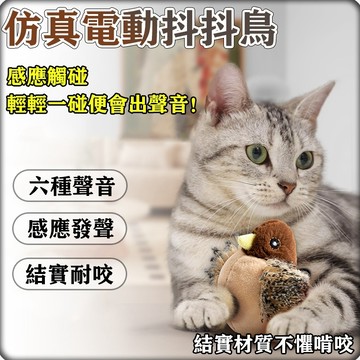 逗貓神器🔥會動會叫 電動抖抖鳥🔥貓玩具 貓咪玩具 寵物玩具 懶人逗貓神器 電動跳舞鳥附USB充電線 貓咪玩具 懶人省力