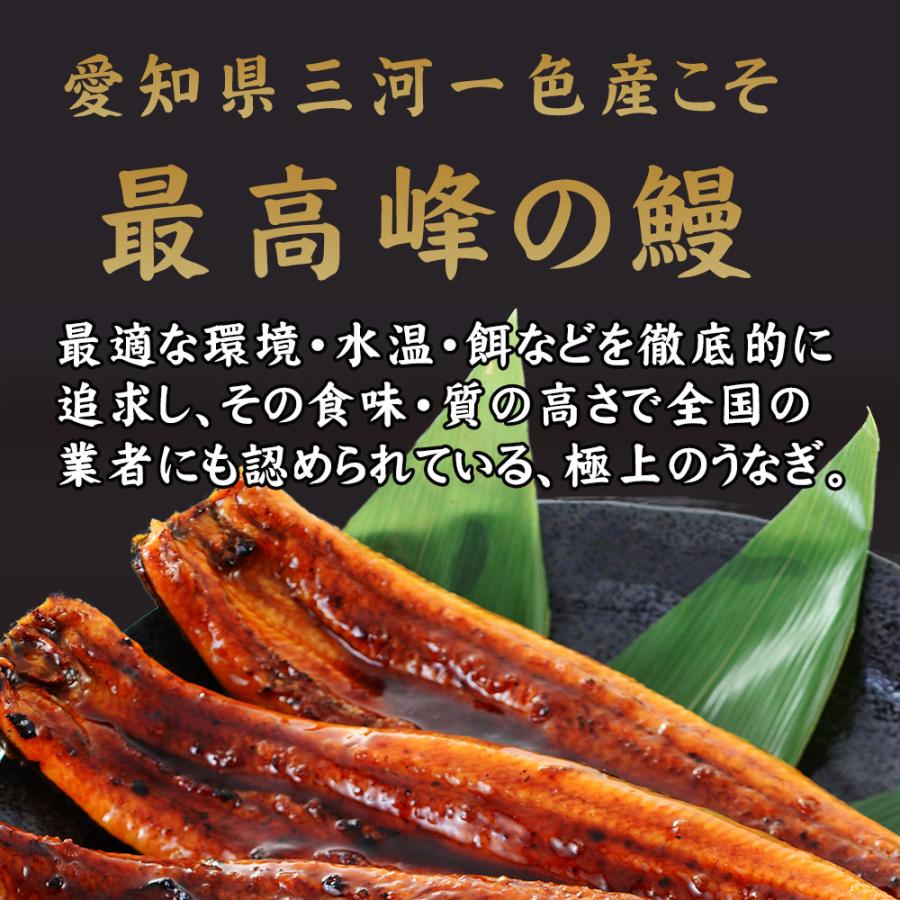 鰻 うなぎ ウナギ 国産 高級 三河一色産 蒲焼き 約400g (約200g×2尾) ｜ギフト｜贈答｜特大｜国産｜三河一色｜蒲焼｜愛知県｜土用の丑｜敬老の日