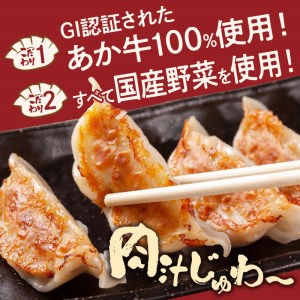 F110b-10　くまもとあか牛100%餃子 60個(20個入り×3)