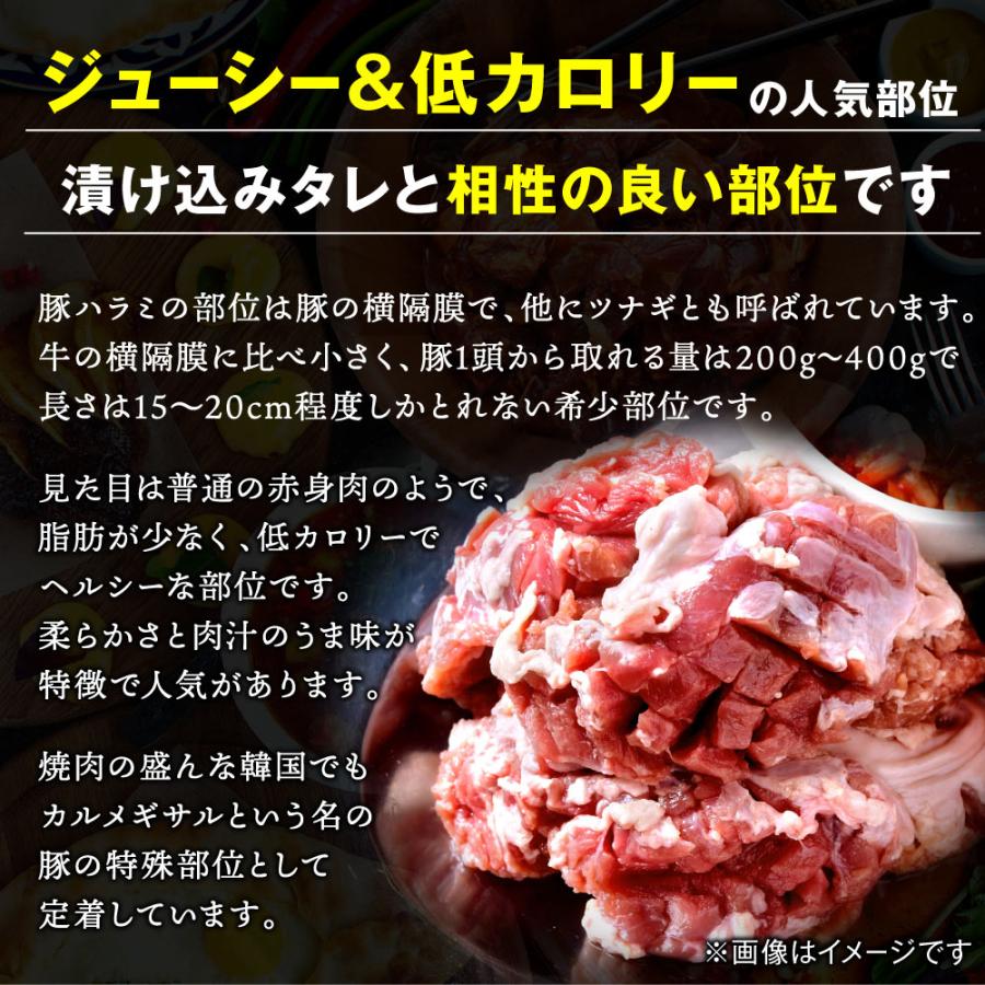 焼肉 牛肉 3kg 焼肉セット 5-9人前 ハラミ カルビ ホルモン 豚肉 送料無料