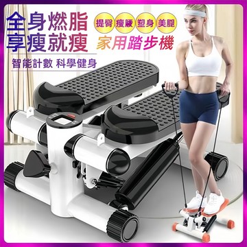 隔日到貨【公司發票正品】室內健身車 踏步機 平踏槓桿式 瘦腿健身 企鵝機 美腿機 液壓腳踏機 瘦腿 健走機 登山式踏步機