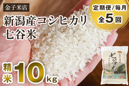 老舗米穀店が厳選 新潟産 従来品種コシヒカリ「七谷米」精米10kg（5kg×2）白米 窒素ガス充填パックで鮮度長持ち 金子米店 定期便 定期購入 定期 コシヒカリ 新潟県産コシヒカリ 米 お米