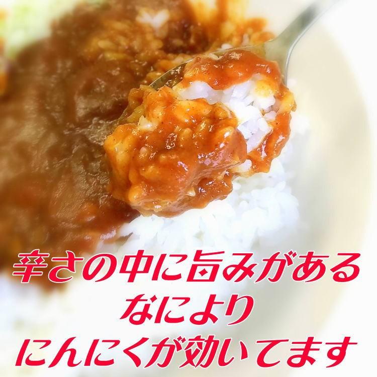 激辛ガーリックカレー 魔王のカレー メール便送料込み