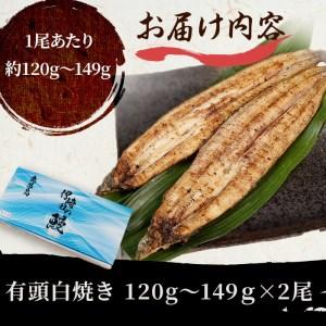 ふるさと納税 鹿児島県産 伊崎田のうなぎ白焼き ＜120g以上＞× 2尾(計240g以上) a4-022 鹿児島県志布志市