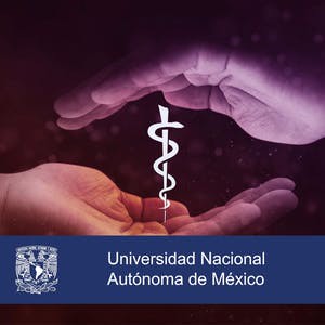 La solución del conflicto ético