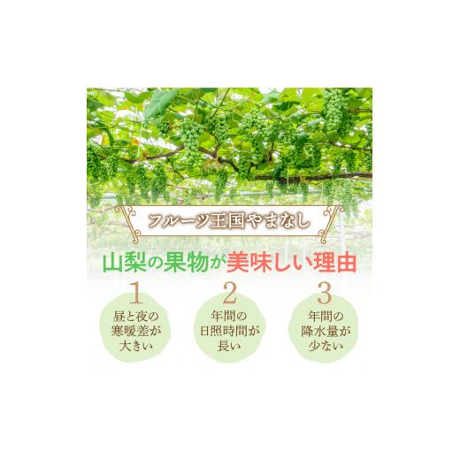 ふるさと納税 山梨県 甲府市 〈2024年度配送分〉シャインマスカット 3〜4房（約2.0kg）