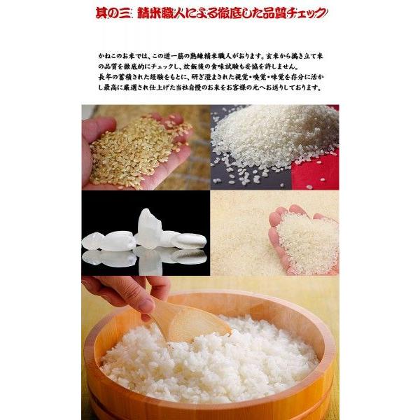 新米 5kg ふさおとめ 米 令和5年産 千葉県産 白米 内のし対応 贈り物