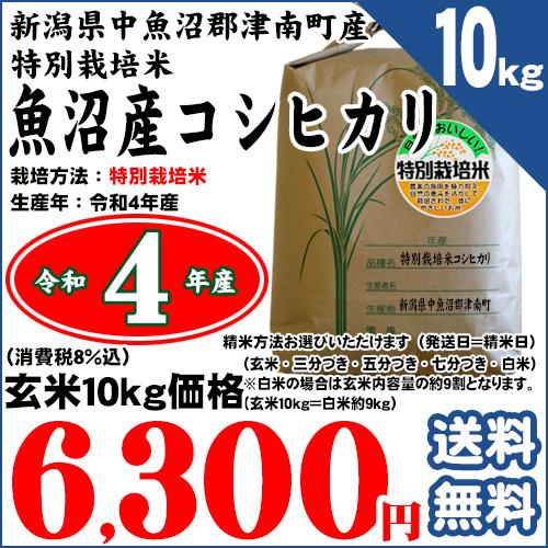 新潟県津南町産 特別栽培米 魚沼産コシヒカリ 玄米10kg（精米方法お選びいただけます） 令和5年産