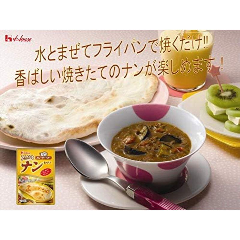 ハウス カレーパートナー ナンミックス 190g×3個