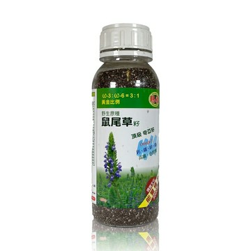 亞積   野生原種鼠尾草籽430公克/罐 (或譯奇雅籽/奇異籽) ×3罐  特惠中