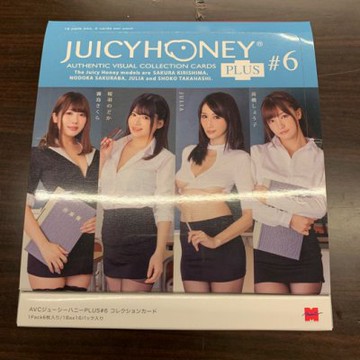 PR-4 高橋しょう子 ジューシーハニー PLUS #06 プロモーションカード 高橋しょう子 HONEY ジューシーハニー PLUS #6 プロモーションカード