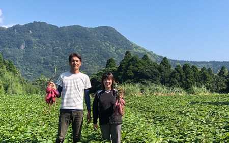 らくと農園のシルクスイート5kg(らくと農園 A-283) さつまいも おやつ さつま芋 焼芋 やきいも 焼きいも スイーツ