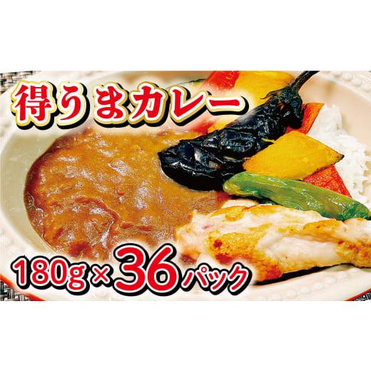 ふるさと納税 千葉県 富里市 得うまカレー（レトルト）180g×36パック