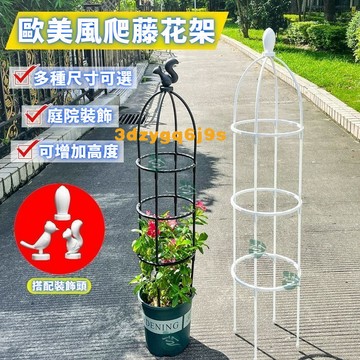 臺灣嚴選花架爬藤架子鐵綫蓮月季花支架花盆攀爬支架室內山烏龜支撐桿
