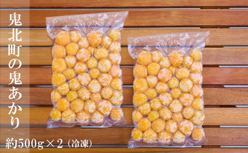 冷凍鬼あかり（ほおずき）500g×2パック