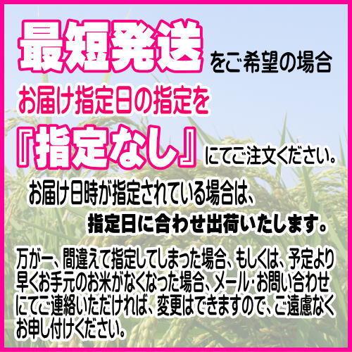 米 新米 令和5年 米 10kg お米 5kg×2袋 白米 岩手県産ひとめぼれ 送料無料