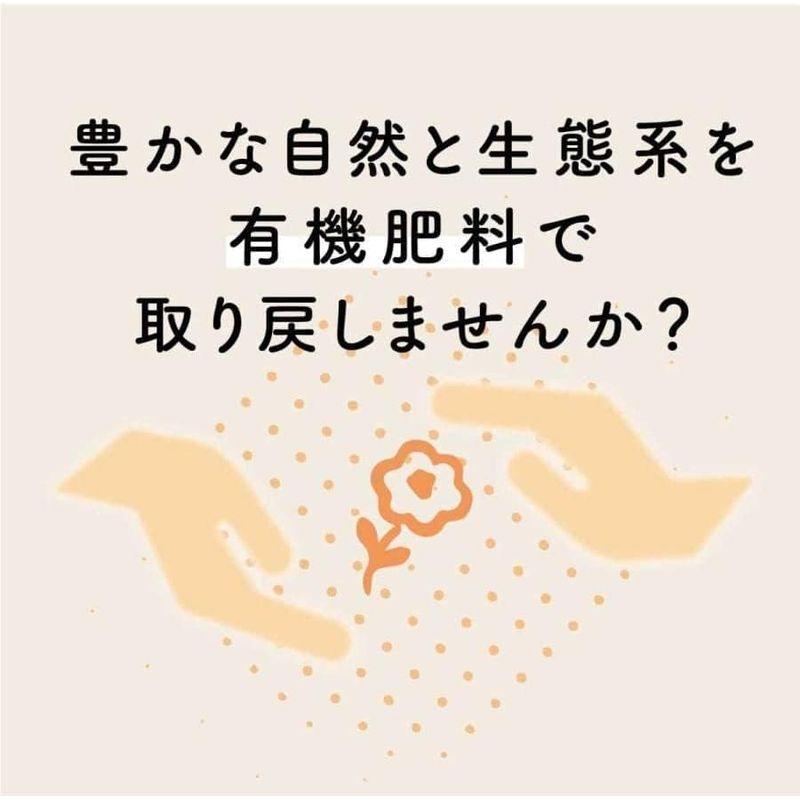 令和4年産 新潟産こしひかりHIBARI 白米 20kg 自然に優しいお米 新潟県産 コシヒカリ 米 お米 ひばり (20kg(5kg×4袋