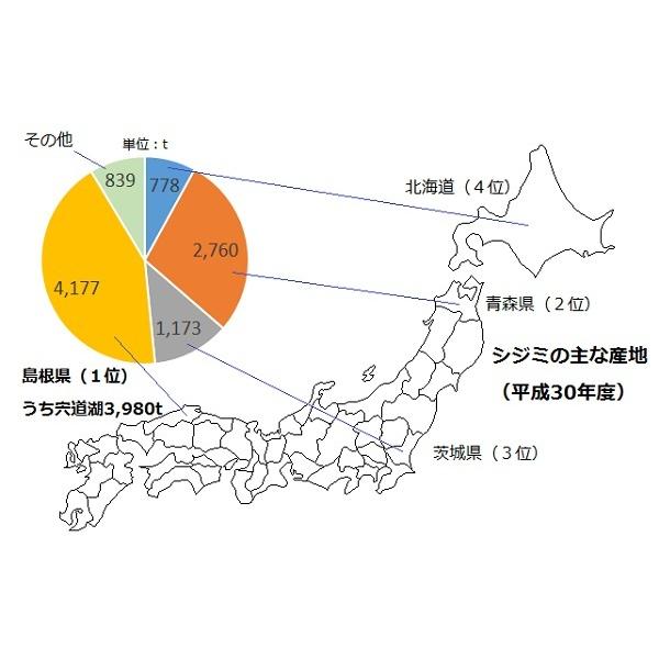 貝類 シジミ 送料無料 島根県 神西湖産 大和しじみ 1kg