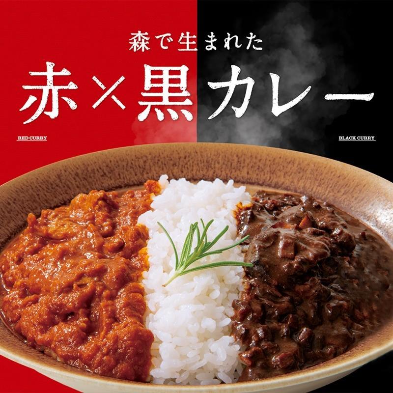 森で生まれた赤×黒カレー 1人前200g　2個セット お土産 プレゼント ギフト 2色カレー プロデュース メール便 送料無料　ご当地