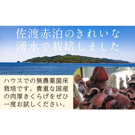 ふるさと納税 乾燥＠きくらげ　4パック 新潟県佐渡市