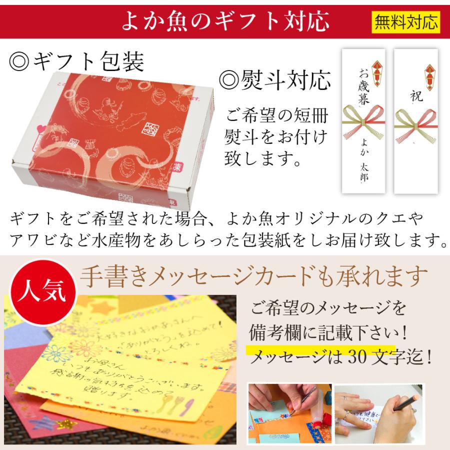 お歳暮 ギフト 長崎真鯛の海鮮丼(クエだし醤油付き)5食セット ギフト 送料込み 産地グルメ 海鮮丼 プロトン 刺身 よか魚イチオシ