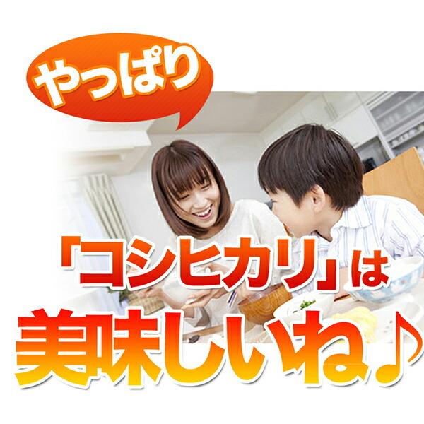 令和五年度産 国内産故郷コシヒカリ 20kg(10kg×2) メーカー直送