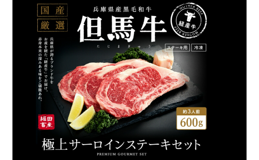 020AA02N.いちかわ精肉店「サーロインステーキ」200ｇ×3