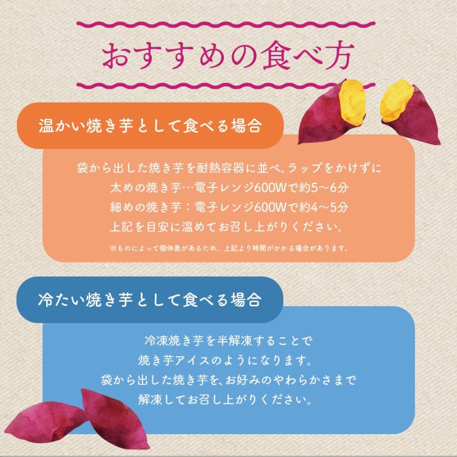 さつまいも さつま芋 薩摩芋 焼き芋 いも いもジェンヌ 新潟県産 1.5kg 4〜5本 長期熟成 グルメ (メーカー直送 代引き不可)