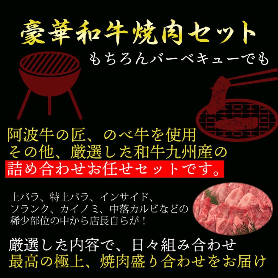 黒毛和牛 A5等級 店長おまかせ焼肉セット 500gセット 盛り合わせ 500グラム 送料無料(北海道沖縄除く)