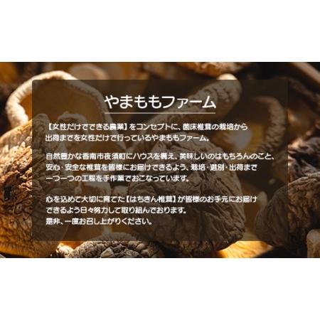 ふるさと納税 やまももファーム椎茸 冬菌はちきん生椎茸と乾燥椎茸のセット(合計約470g) しいたけ きのこ キノコ 野菜 国産 yo-0014 高知県香南市