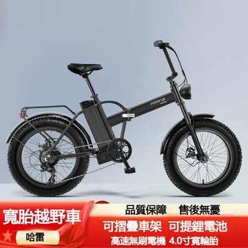 🔸臺灣熱銷🔸20吋電動自行車 電動登山車 4.0寬胎雪地鋰電電動車 電動助力自行車 電瓶車 摺疊式自行車 電輔車