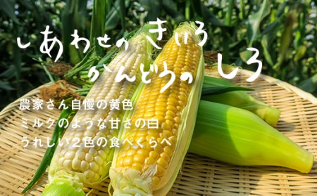 大地の恵み「とうもろこし2色定期便（1色ごと）」北海道産　7本×2回