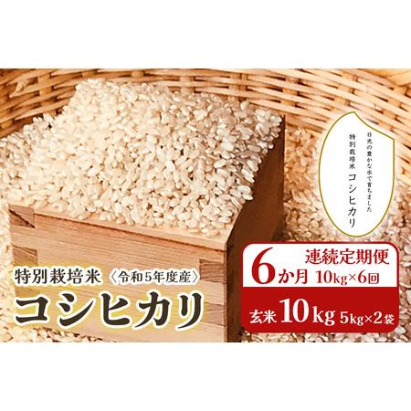 ふるさと納税 [6か月連続定期便(10kg×6回)] 令和5年度産 特別栽培米 コシヒカリ 玄米10kg(5kg×2袋)｜数量限定 お米 国産 日光産 産地.. 栃木県日光市