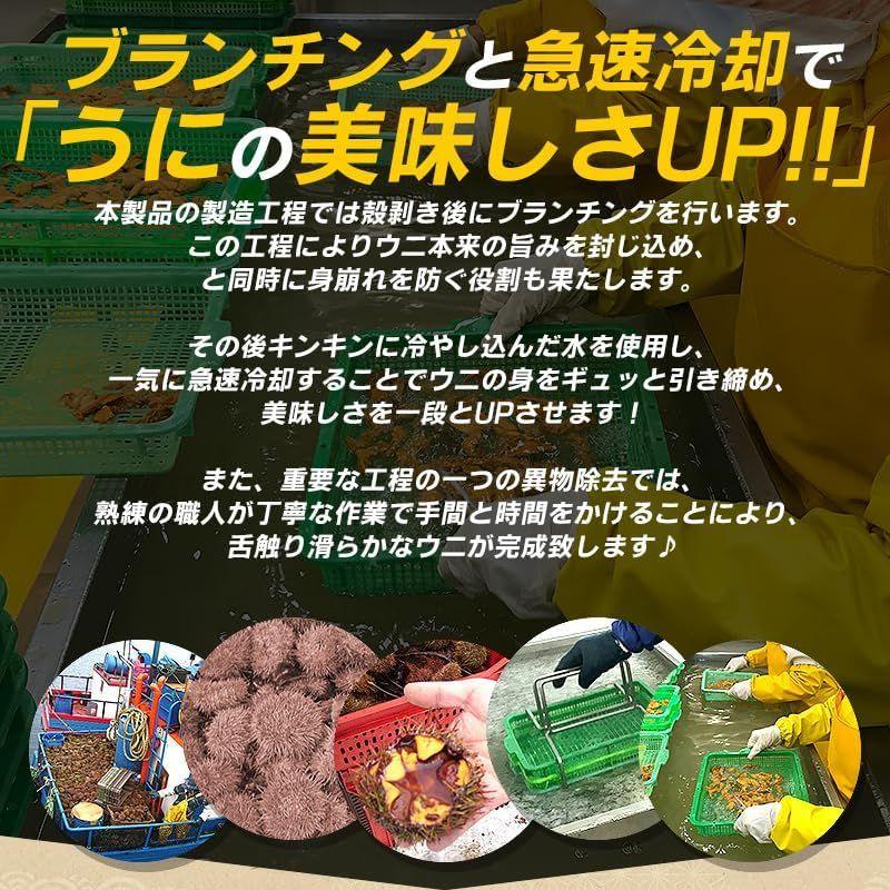 うに ウニ ミョウバン不使用 無添加 A級品 200g （100g×2個） 雲丹