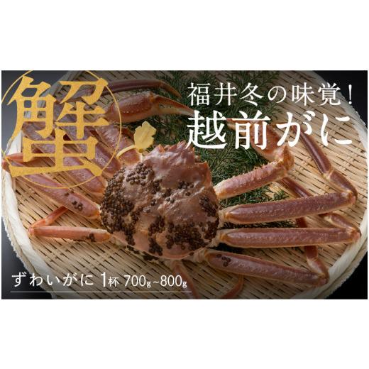 ふるさと納税 福井県 鯖江市 福井冬の味覚！越前がに 1杯  700〜800g   [H-00912]