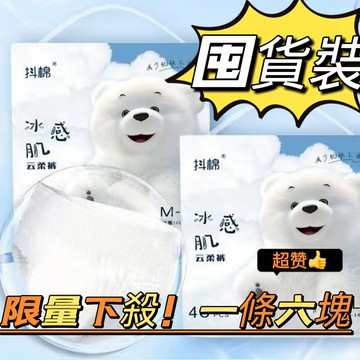 【臺中出貨】半年裝👍超便宜 安睡褲 安心褲 超輕薄 獨立包裝 褲型衛生巾 大碼姨媽巾 夜用裝 好眠褲 夜用衛生棉 衛生棉