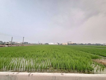 埤頭彰水路旁大塊方正美田｜彰化縣埤頭鄉大湖段