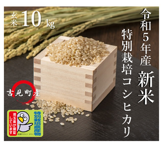 [令和５年産]埼玉県比企郡吉見町産 特別栽培米コシヒカリ  10㎏