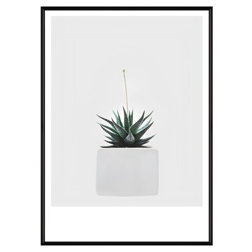 小鮮綠之希望不遠處 藝術畫作  59.4 x 42cm  黑色