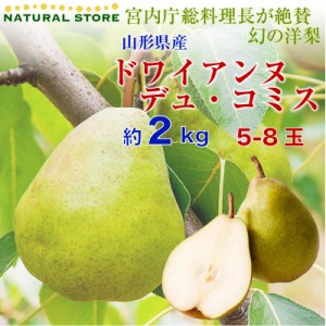 [予約 10月1日-10月15日の納品] 洋梨 ドワイアンヌ・デュ・コミス 約2kg 5-8玉 山形県産 秋ギフト 洋梨 山形県 ラフランス