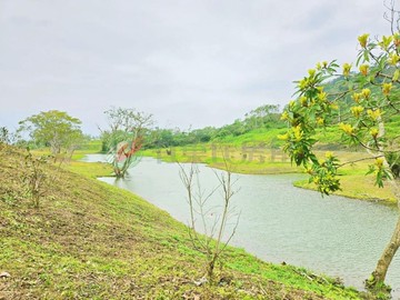 壽豐鄉海岸山脈世外桃源美地F0608｜花蓮縣壽豐鄉米棧段