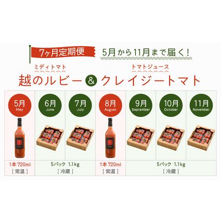 ふるさと納税 定期便 ≪7ヶ月連続お届け≫ 「越のルビー」ミディトマト5パックと完熟収穫にこだわったトマトジュース！「クレイジー.. 福井県坂井市