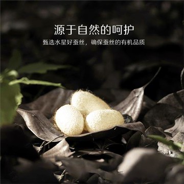 ✅家紡蠶絲枕頭一對裝枕芯A類抑菌呵護頸椎助睡眠成人床