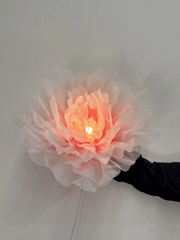 免運 開發票 漸變草莓紅歐根紗材質落地快速出貨