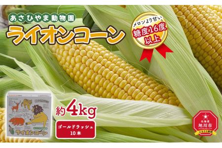 あさひやま動物園ライオンコーン約4kg(ゴールドラッシュ10本)2024年8月下旬～発送開始予定