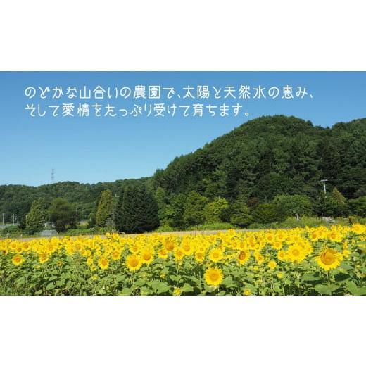 ふるさと納税 北海道 栗山町 豊潤な香り「特選甘熟キングメロン」1玉　YC052