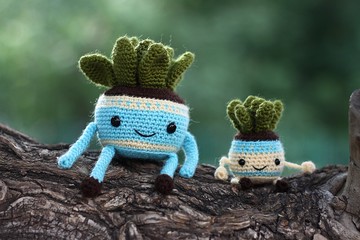 鉤編多肉植物，設置大小多肉植物