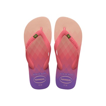 havaianas / Brasil Fresh 巴西logo-女款【公司貨、現貨】哈漫克官方旗艦店