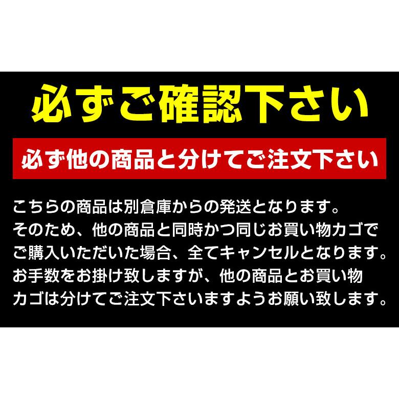 玉ねぎスープたまねぎスープ 訳あり 業務用 粉末 個包装 